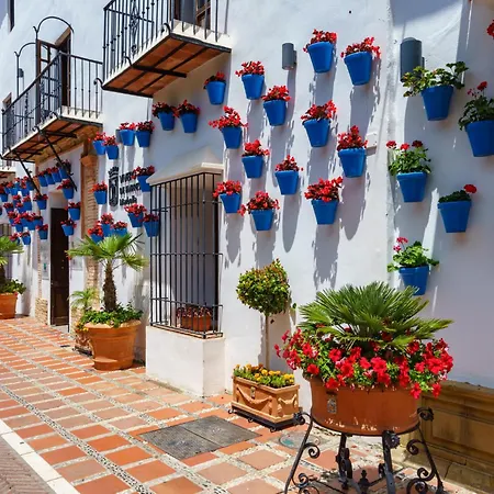 Real Gardens By Interhome